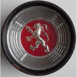 Cabochon Centre de volant...